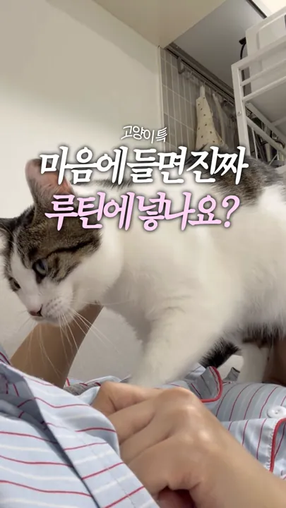 마음에 들면 진짜 루틴에 넣나요