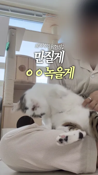 만질게 ㅇㅇ 녹을게