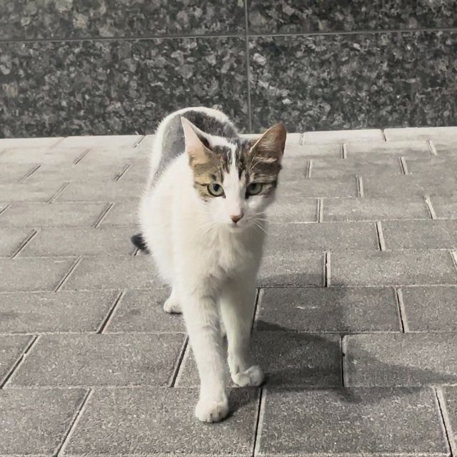 냥생최초 인터뷰